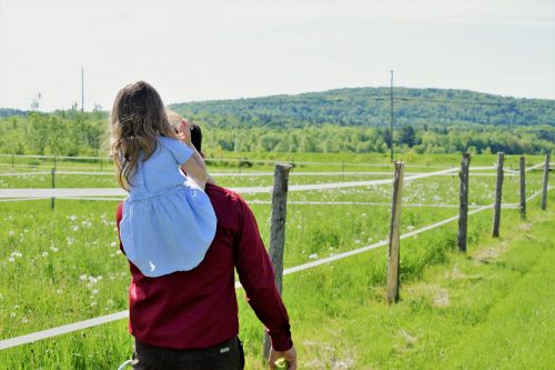 Familias sin límites: Aprender a poner límites
